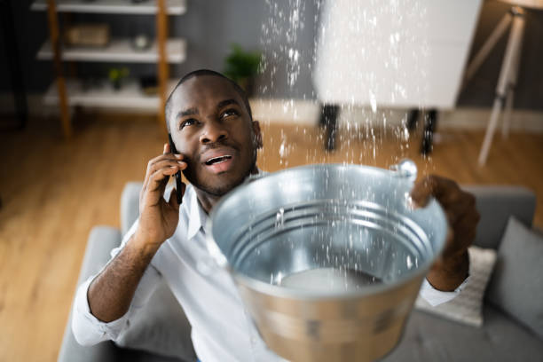 Best Sewage cleanup and water damage restoration  in Park City, MT