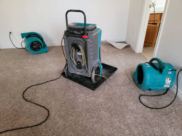 Best Professional water damage repair  in Park City, MT