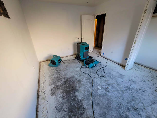 Best Flood damage cleanup  in Park City, MT