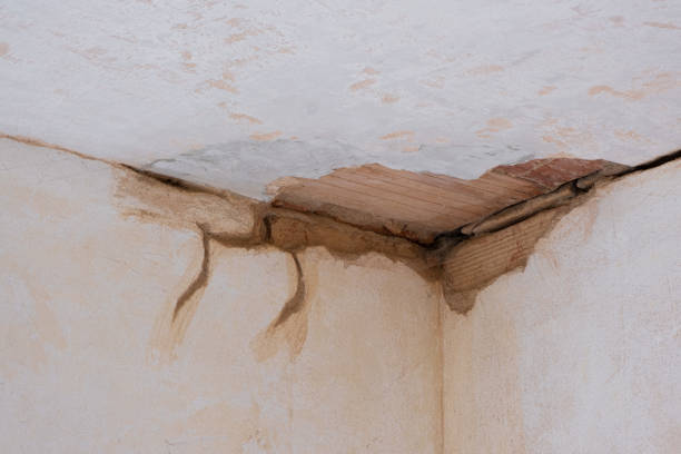Best Water damage contractors near me  in Park City, MT