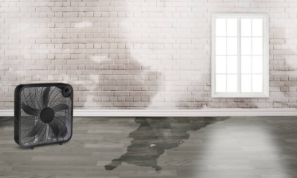 Best 24-hour water damage restoration  in Park City, MT