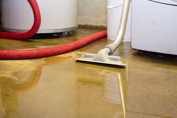 Best Water damage restoration near me  in Park City, MT