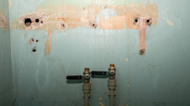 Best Flooded house restoration  in Park City, MT