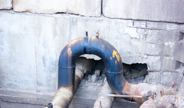 Best Water damage restoration near me  in Park City, MT
