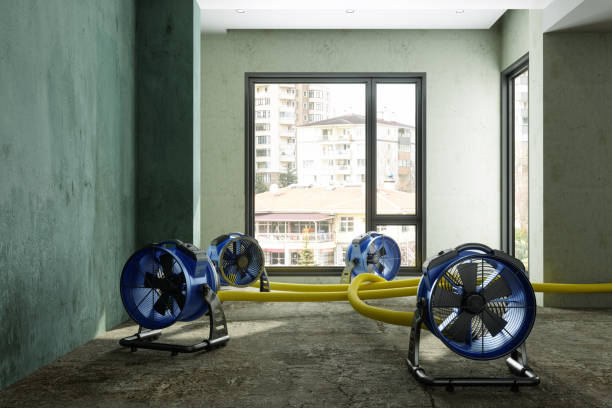 Best Water damage cleanup near me  in Park City, MT