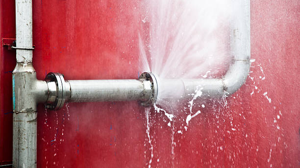 Water damage restoration mold remediation in Park City, MT